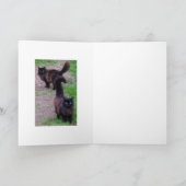 Joyeux Anniversaire Carte de Chat (Intérieur)