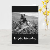 Joyeux Anniversaire Carte de Chien Coquelicot Alle (Fleur jaune)