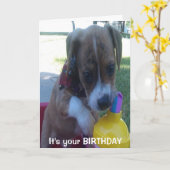 Joyeux anniversaire carte de voeux chiot boire (Fleur jaune)