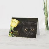 Joyeux anniversaire - carte de voeux de chat de (Dos)