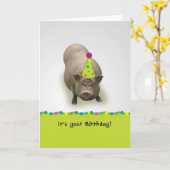 Joyeux anniversaire, carte de voeux de porc de (Fleur jaune)