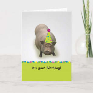 Joyeux anniversaire, carte de voeux de porc de
