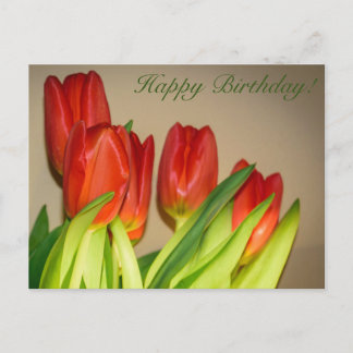 Joyeux Anniversaire ! Carte postale aux tulipes
