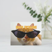 Joyeux Anniversaire - Carte Postale Chat Cool en L (Debout devant)