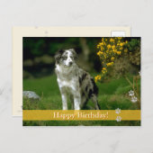Joyeux anniversaire ! - carte postale chien (Devant / Derrière)