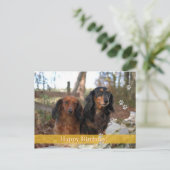 Joyeux anniversaire ! - carte postale chien (Debout devant)
