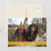 Joyeux anniversaire ! - carte postale chien (Devant / Derrière)