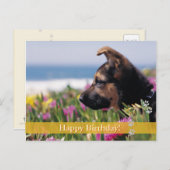 Joyeux anniversaire ! - carte postale chien (Devant / Derrière)