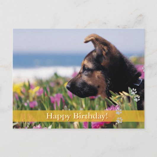 Joyeux anniversaire ! - carte postale chien (Devant)