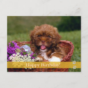 Joyeux anniversaire ! - carte postale chien