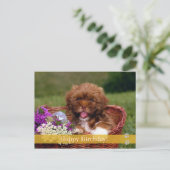 Joyeux anniversaire ! - carte postale chien (Debout devant)