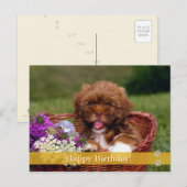 Joyeux anniversaire ! - carte postale chien (Devant / Derrière)