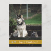 Joyeux anniversaire ! - carte postale chien & chat (Devant)