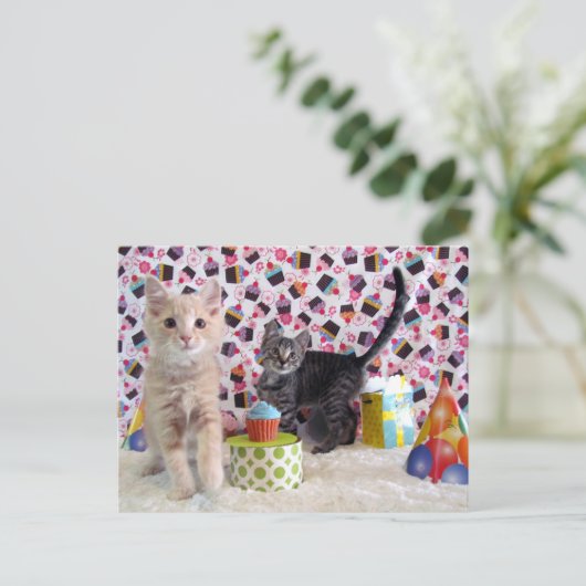 Joyeux anniversaire - Carte postale de chat (Debout devant)