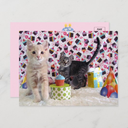 Joyeux anniversaire - Carte postale de chat (Devant / Derrière)