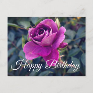 Joyeux Anniversaire Carte Postale Rose Iceberg Bou