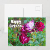 Joyeux Anniversaire Carte Postale Rose Wild Blue Y (Devant / Derrière)
