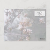 Joyeux anniversaire ! Carte postale (Winter Blosso (Dos)