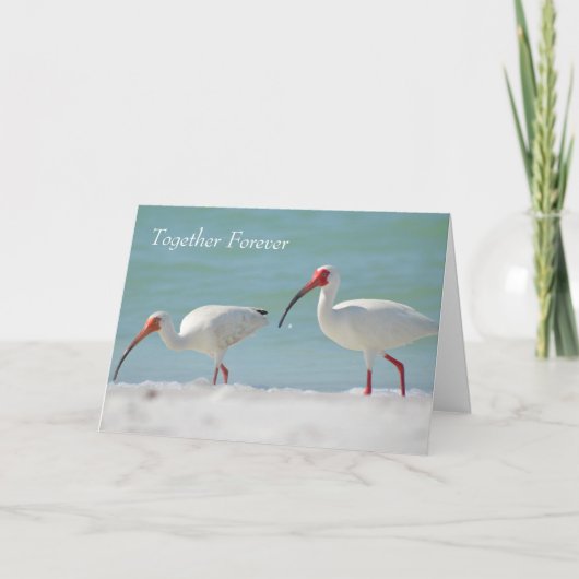 Joyeux Anniversaire Carte Pretty Bird (Devant)