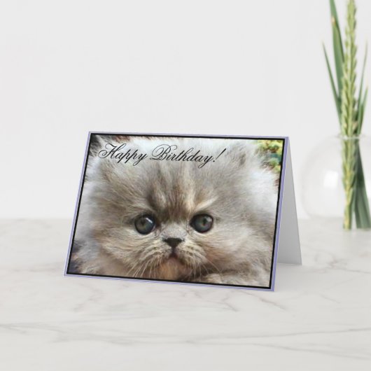 Joyeux anniversaire chaton perse carte de voeux (Devant)