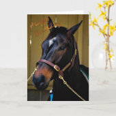 Joyeux Anniversaire Cheval Carte Anniversaire Chev (Fleur jaune)