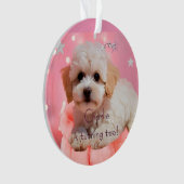 Joyeux Anniversaire Chien Faisons la Fête  (devant)