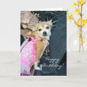 Joyeux anniversaire Chihuahua carte de voeux (Fleur jaune)