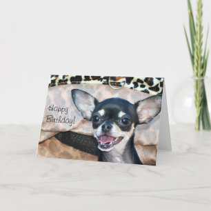 Joyeux anniversaire Chihuahua carte de voeux