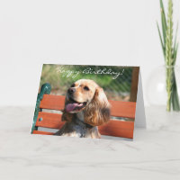 Joyeux Anniversaire Cocker Spaniel carte de voeux