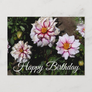 Joyeux Anniversaire Dahlia Edge of Joy #1 Carte po