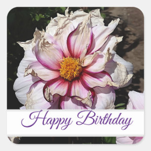 Joyeux Anniversaire Dahlia Edge of Joy #1 Stickers