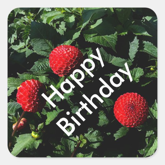 Joyeux Anniversaire Dahlia Irish Glow #1 Stickers (Devant)