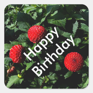 Joyeux Anniversaire Dahlia Irish Glow #1 Stickers