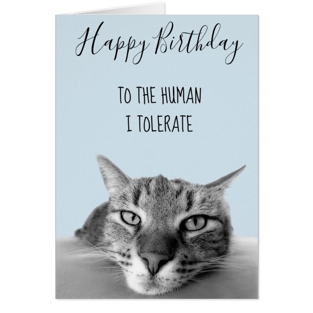 Joyeux Anniversaire De Chat À Humain Je Tolère Fun (Devant)