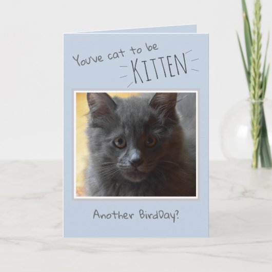 Joyeux anniversaire de la carte de chat (Devant)