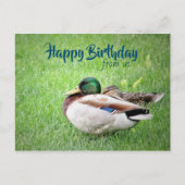 Joyeux anniversaire de la carte postale (Devant)