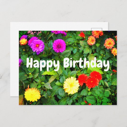 Joyeux Anniversaire Divers Dahlia #1 Carte Postale (Devant / Derrière)