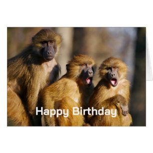 Joyeux Anniversaire du Groupe Comme des Singes