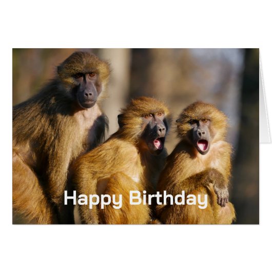 Joyeux Anniversaire du Groupe Comme des Singes (Devant horizontal)