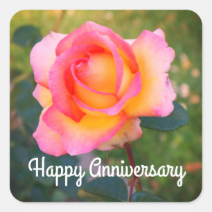 Joyeux Anniversaire Elle Rose #2 Stickers