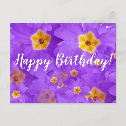Joyeux Anniversaire, Fleurs violettes Carte postal (Devant)