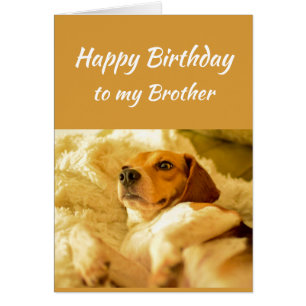 Joyeux Anniversaire Frère âge réel Humour chien am