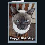 Joyeux anniversaire Funny Big Head Siamese Chat<br><div class="desc">Un grand chat siamois assis sur une chaise est présenté sur cette drôle de carte de voeux d'anniversaire heureux. Art,  image,  et vers © Shoaff Ballanger Studios,  2023.</div>