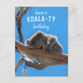 Joyeux anniversaire Koala-té, Carte postale bleue  (Devant)