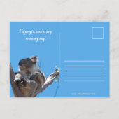 Joyeux anniversaire koala-ty, Carte postale bleue  (Dos)