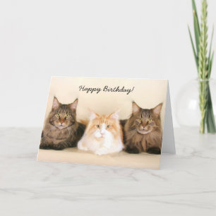 Joyeux anniversaire Maine Coon Cats carte de voeux