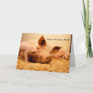 Joyeux Anniversaire Maman Carte de Cochon et de Po