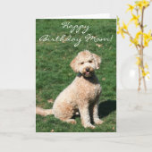 Joyeux anniversaire Maman Mini Goldendoodle carte  (Fleur jaune)