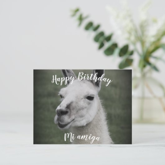 Joyeux Anniversaire "Mi Amiga" LLama carte postale (Debout devant)