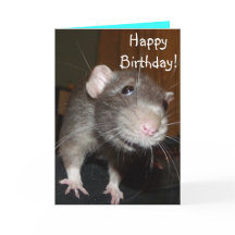 Joyeux anniversaire ! mignonne carte bleue rat